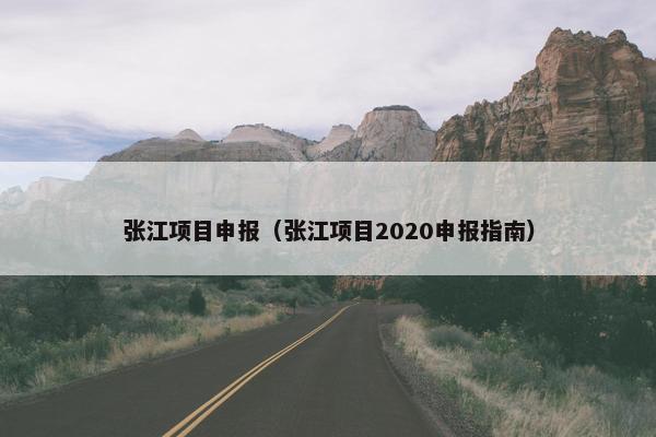 张江项目申报（张江项目2020申报指南）